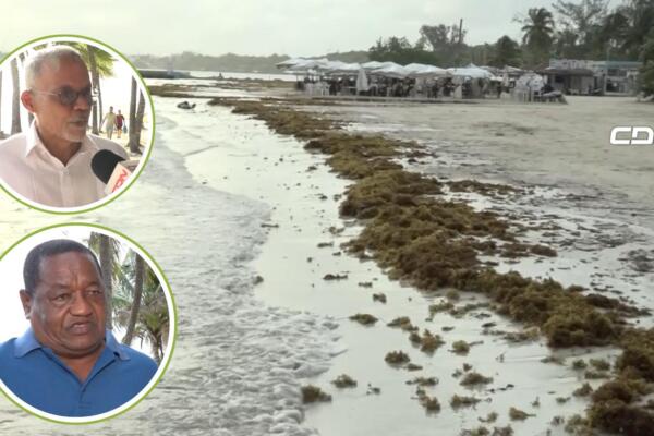 Autoridades y comerciantes de Boca Chica piden al Gobierno rescatar la playa ante su deterioro