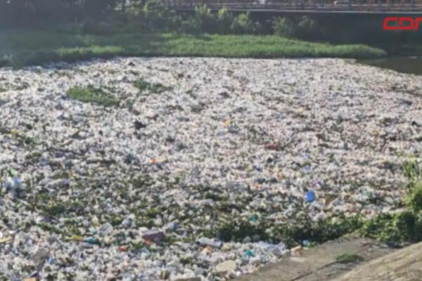 Desechos plásticos arropan rio Yaque del Norte.
