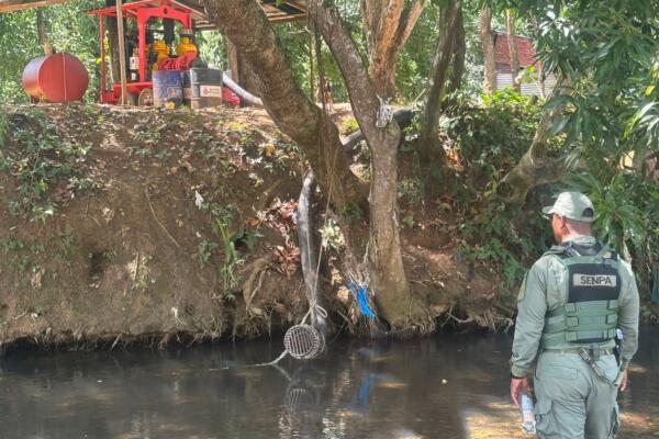 Mueren peces en ríos Matua e Higüero por supuesta contaminación de campo golf