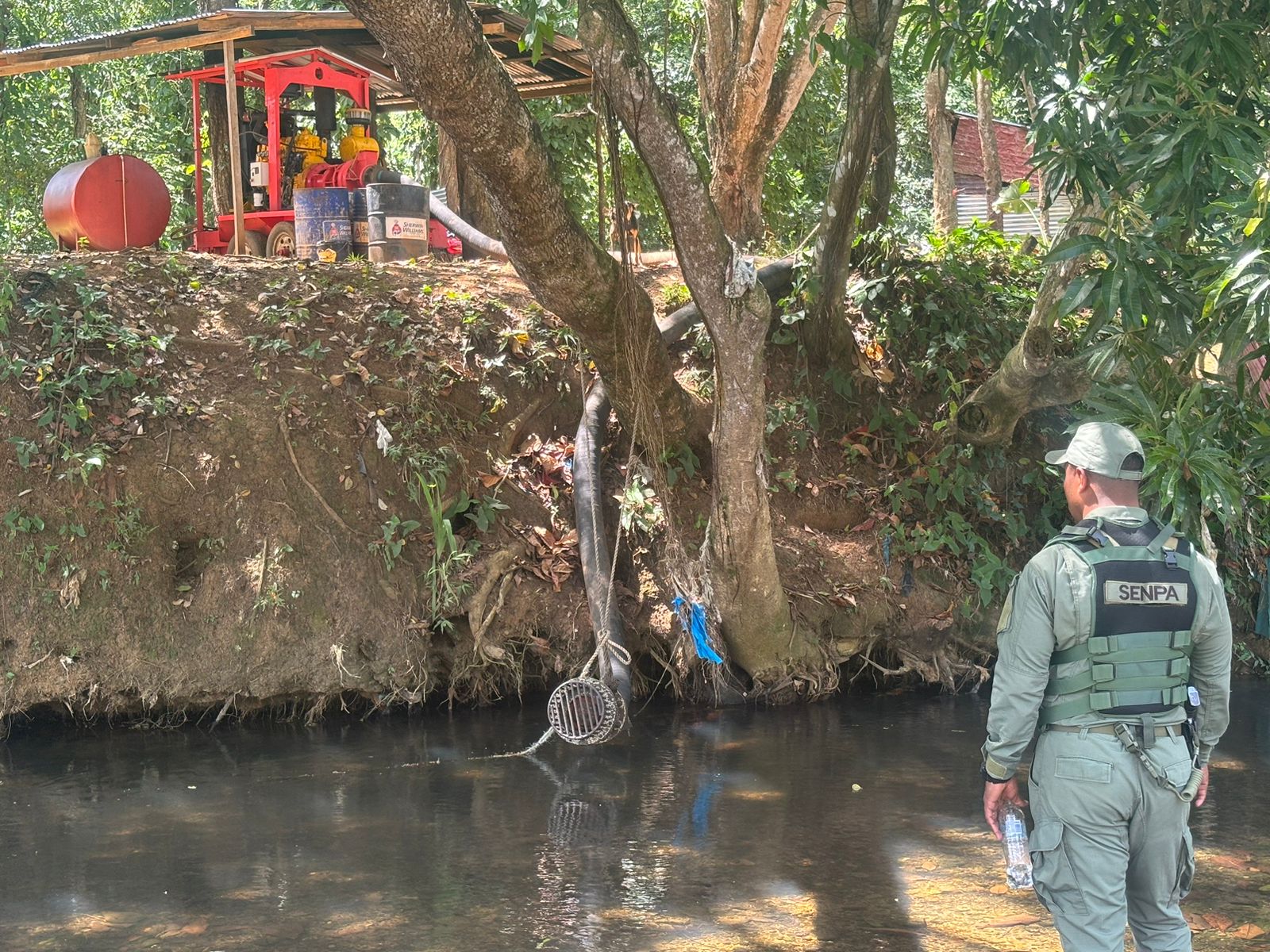 Mueren peces en ríos Matua e Higüero por supuesta contaminación de campo golf
