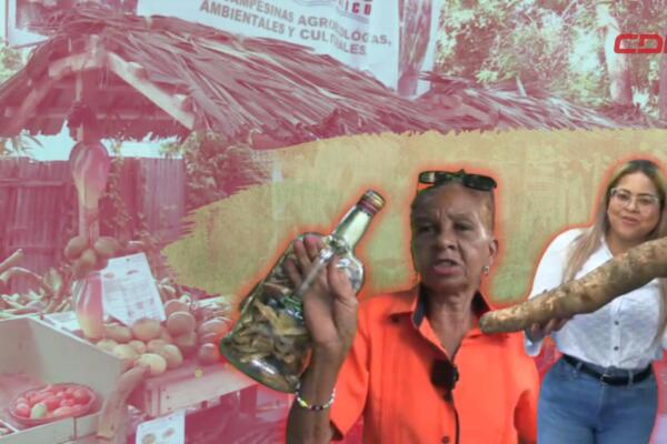Feria en Azua: remedios caseros y riqueza agrícola.