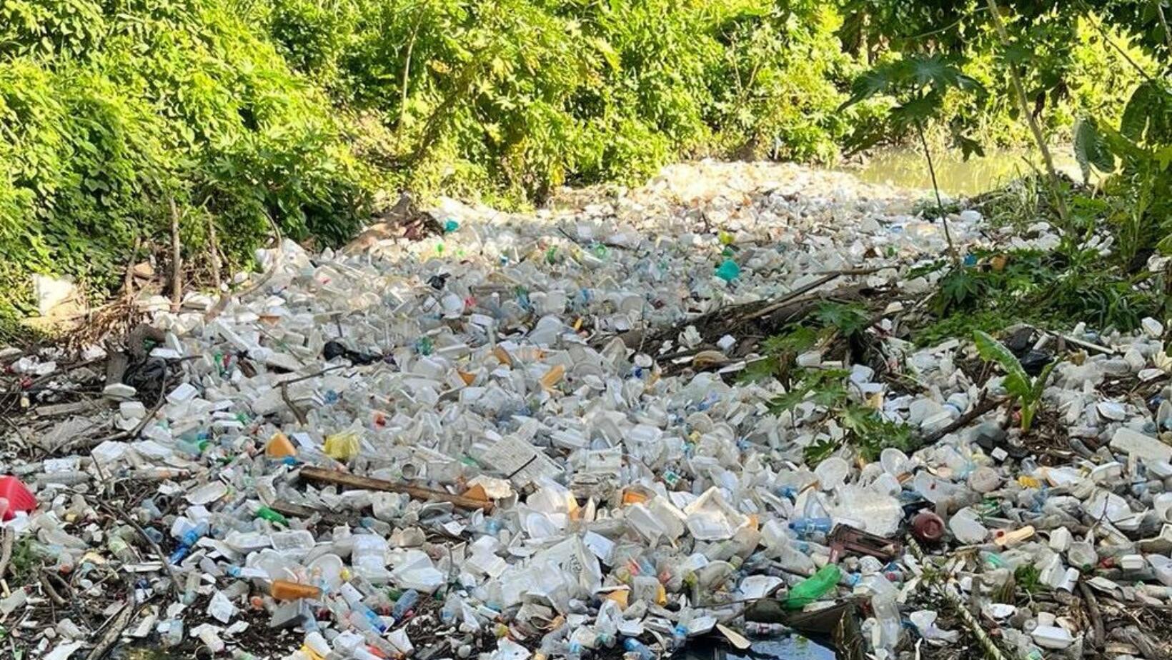 Transferencia de basura