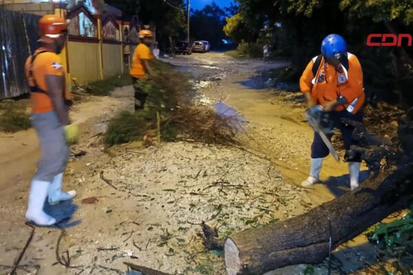 Apoyo del Ejército en retiro de árbol en Barahona.
