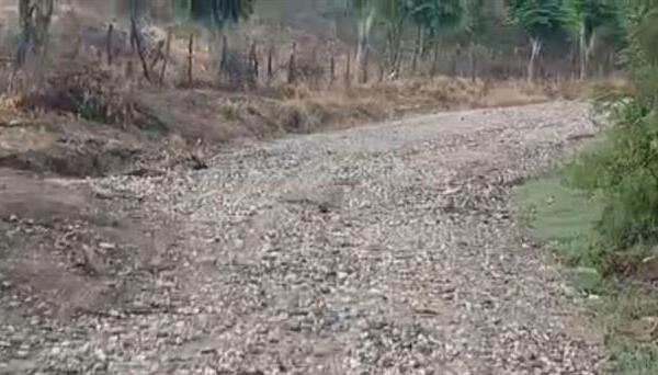 Carretera de la finca Aciba