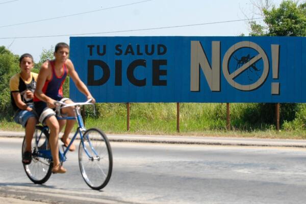 Más de 47.000 personas están actualmente ingresadas en Cuba por dengue o chikunguña