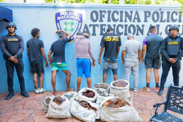 Policía Nacional desmantela grupo dedicado al robo de cables eléctricos y apresa a cuatro implicados en el Distrito Nacional