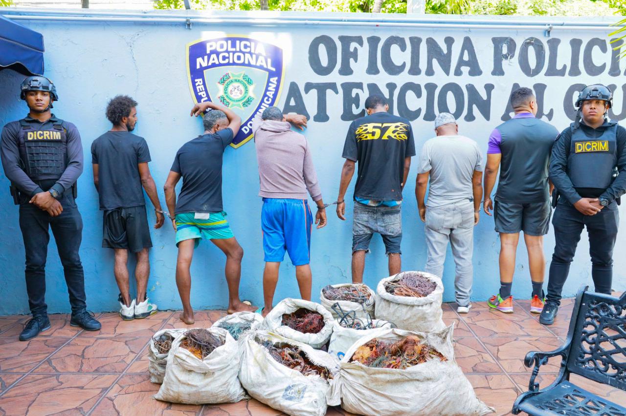 Policía Nacional desmantela grupo dedicado al robo de cables eléctricos y apresa a cuatro implicados en el Distrito Nacional