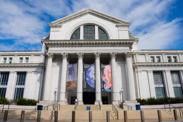 Fotografía de archivo del Museo Nacional de Historia Natural del Instituto Smithsonian en Washington (EE.UU.). EFE/EPA/AARON SCHWARTZ