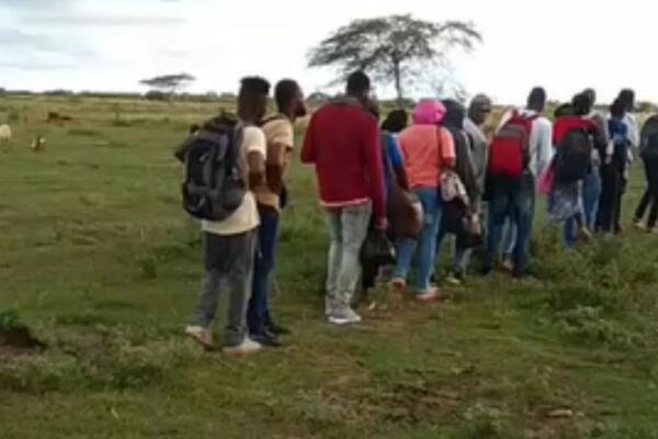 Haitianos detenidos por el Éjercito dominicano.