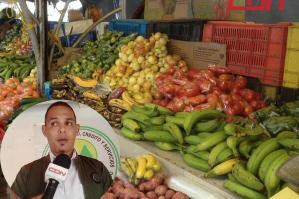 Asociación de comerciantes de Los Alcarrizos preocupada por alza en productos de la canasta familiar   