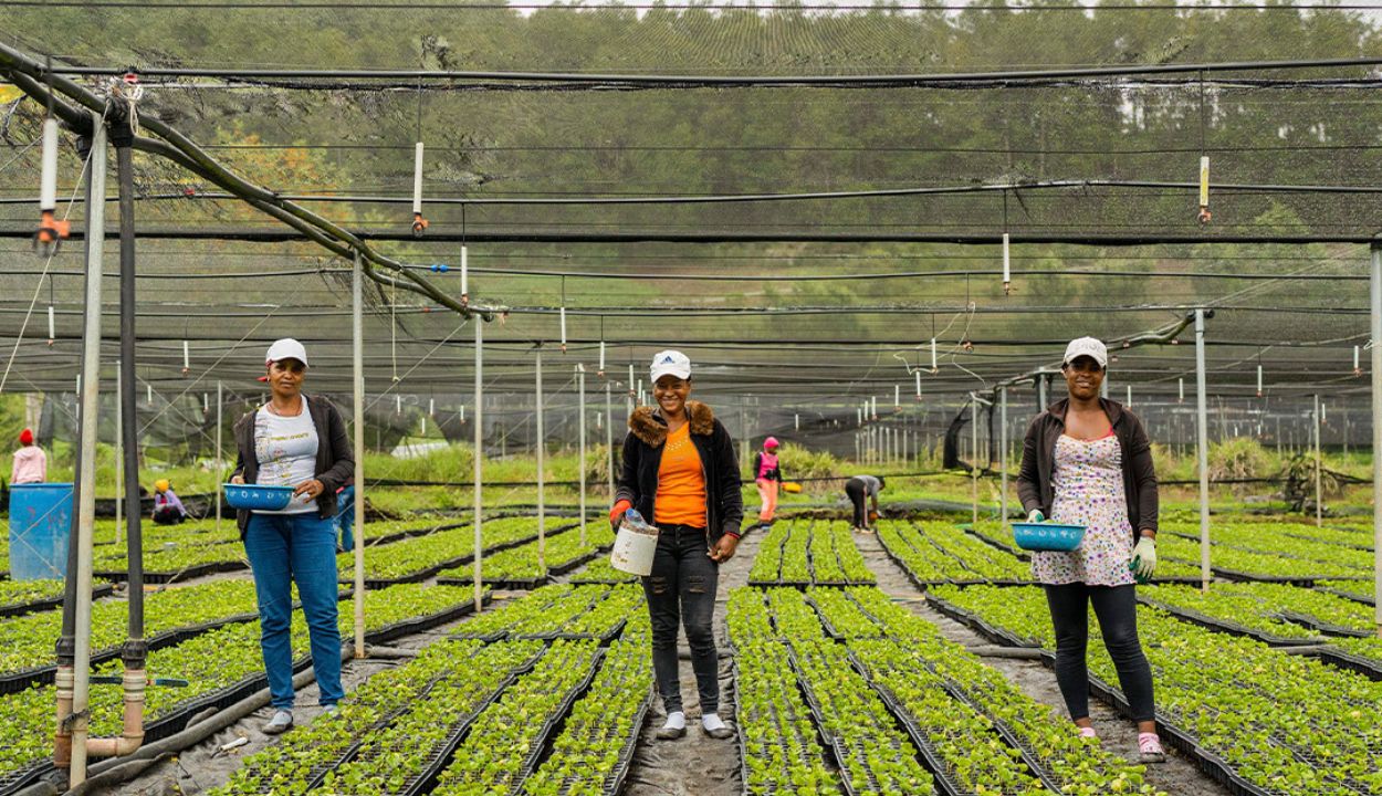 Sur Futuro celebra 24 años; anuncian nueva edición del Premio Ecológico a la Siembra de Agua