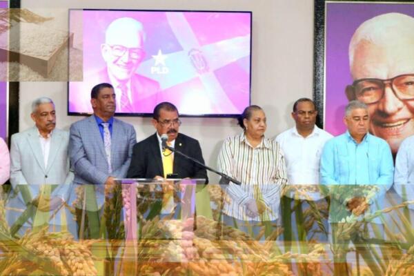El Partido de la Liberación Dominicana (PLD) denuncia que el Gobierno lleva a los arroceros a la ruina; propone medidas urgentes de rescate.