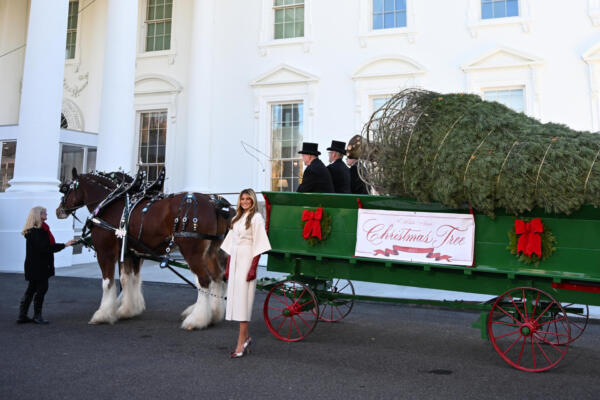 El árbol navideño ganador de Michigan es recibido por Melania Trump en la Casa Blanca
