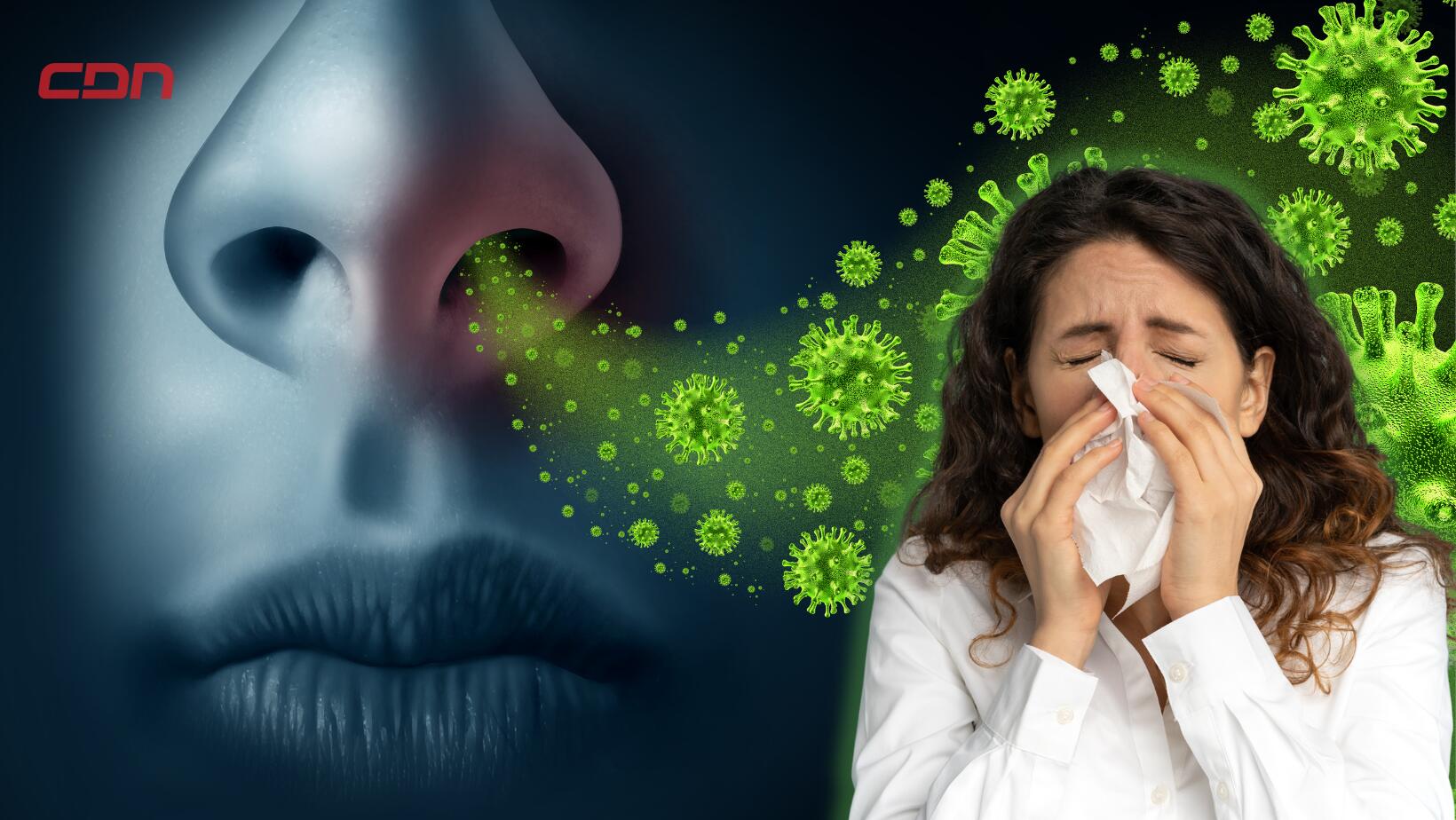 influenza A y B