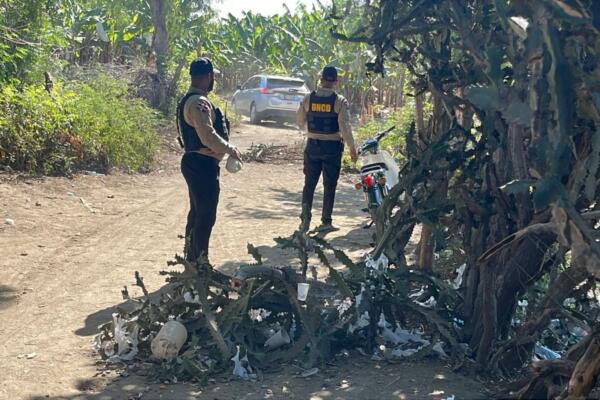 Según el informe oficial, los agentes antidrogas ejecutaron 73 allanamientos y múltiples operativos simultáneos como parte de las nuevas estrategias de interdicción.