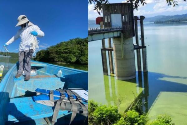 Medio Ambiente confirma que coloración verde en presa de Hatillo se debe a floración de algas y mantiene vigilancia para proteger ecosistema.