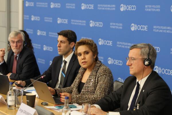 María Elena Vásquez Taveras, durante su intervención en la mesa redonda “Aplicación de la legislación sobre competencia en los mercados informales”.