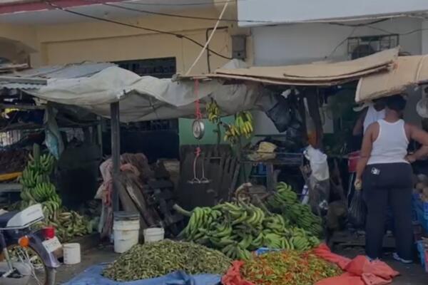 El entorno del mercado se mantuvo con flujo constante de personas.