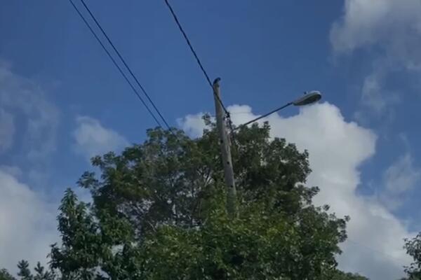 Los trabajos se realizaron con celeridad, garantizando la seguridad del área.