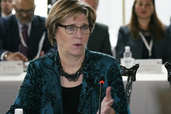 Estados Unidos designó a Laura Dogu como nueva jefa de su misión diplomática en Venezuela. (Foto, AFP)