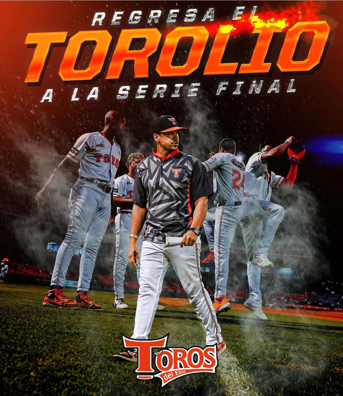 Los Toros avanzaron a la Serie Final del béisbol profesional dominicano, donde se medirán a los Leones del Escogido.