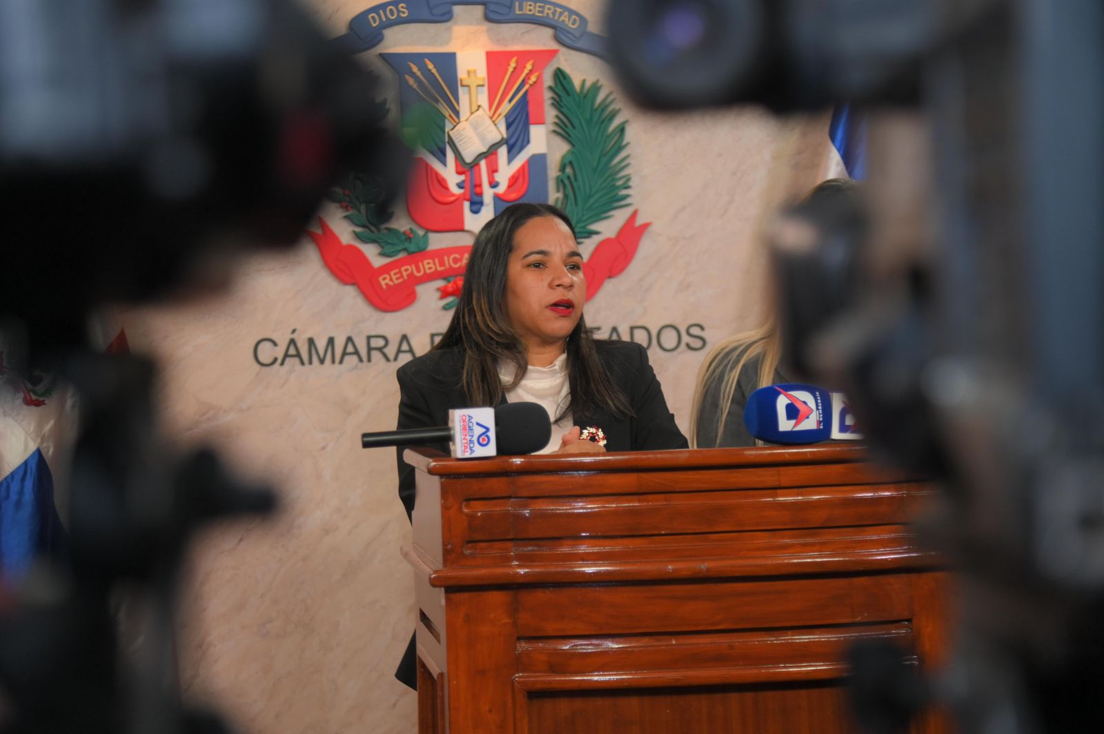 Diputada Dilenia Santos