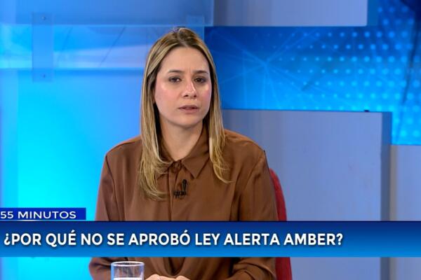 Diputada Liz Mieses.