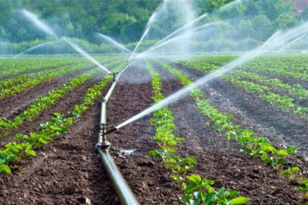 El programa contempla apoyos financieros dirigidos a la modernización de los sistemas de riego y a la eficiencia en el uso del agua en la agricultura.
