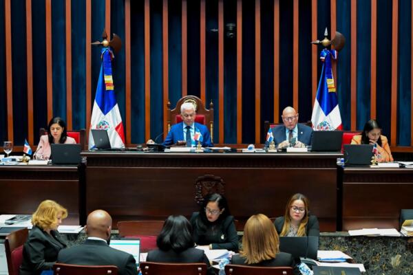 Estas comisiones trabajaron alrededor de 300 horas, que presentaron como resultado informes detallados de cada uno de los proyectos en agenda.