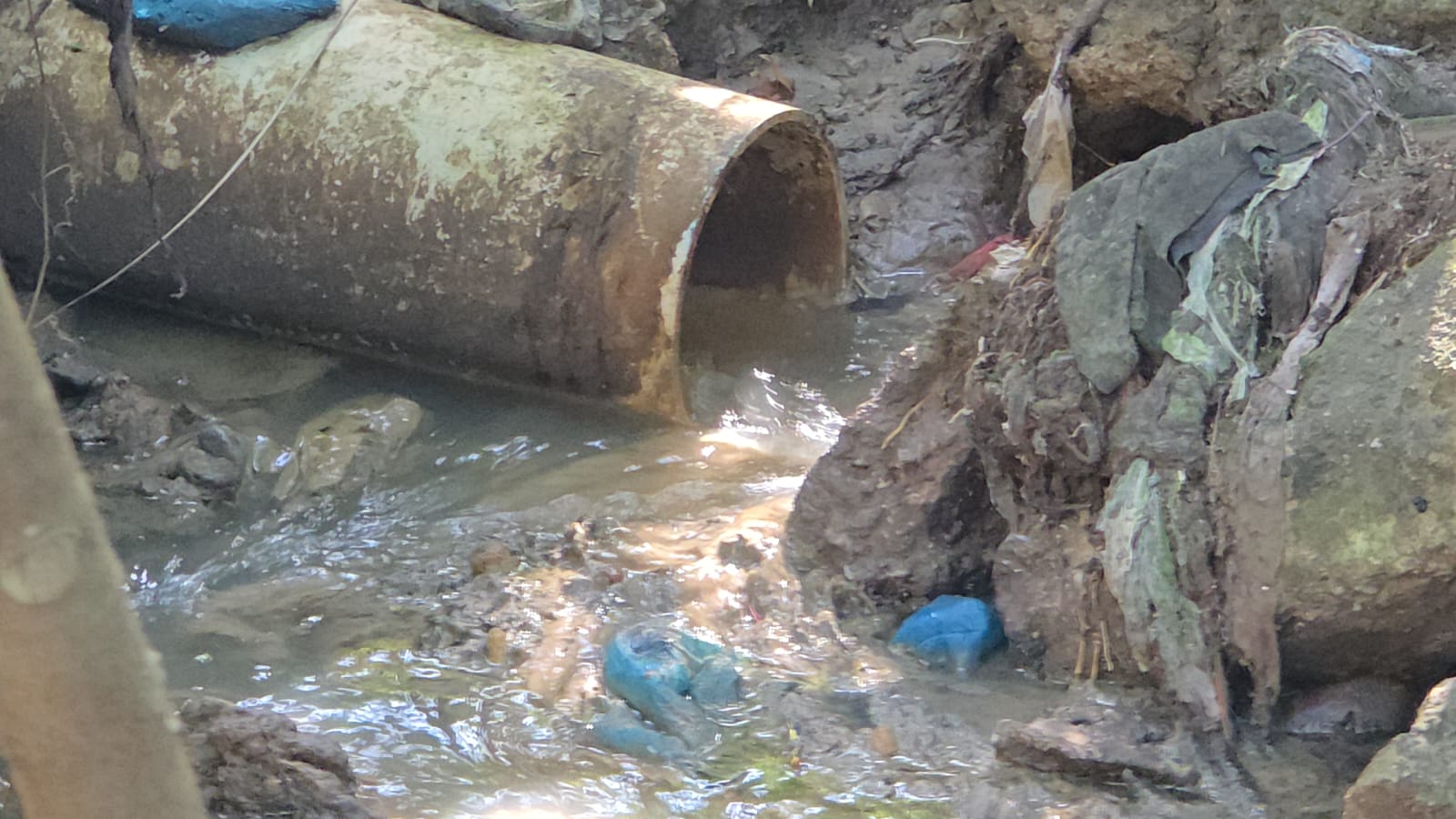 Aguas cloacales