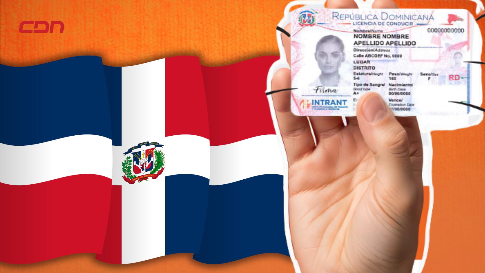 nueva licencia de conducir