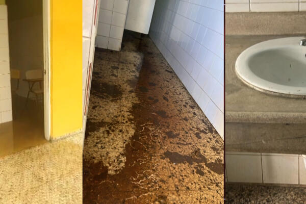 Indicaron que un día no lo entregaron y vendieron panes tipo hot dog sin funda