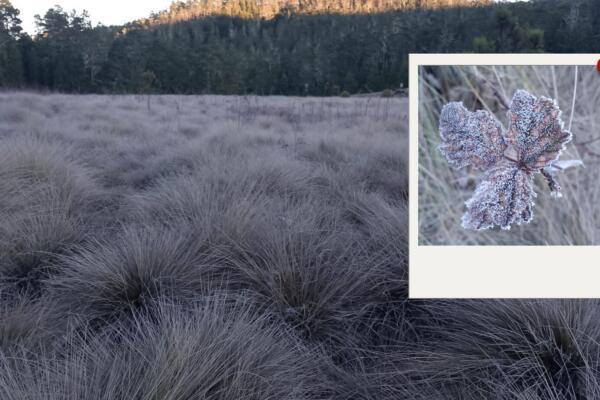 Foto: Valle Nuevo bajo temperaturas cero. 