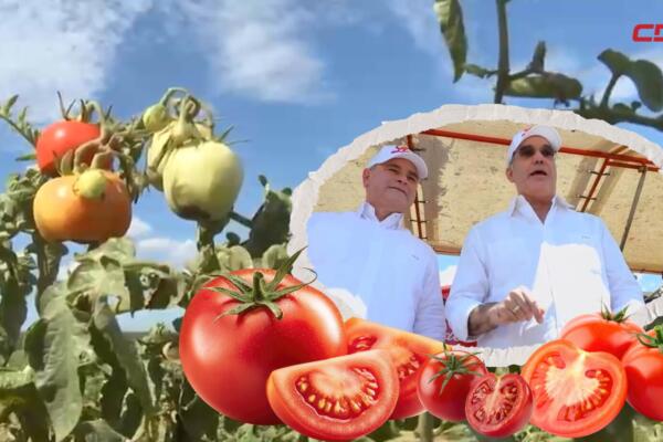 Modernización del campo aumenta productividad y seguridad.
