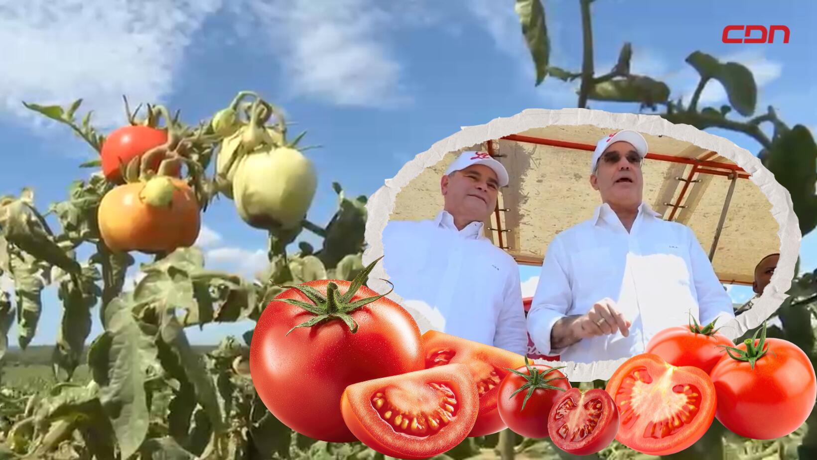 Productos Linda