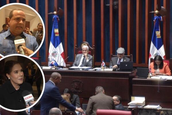 Dirigentes políticos como Karina Aristy y Manuel Crespo respaldan la eliminación de las candidaturas independientes para fortalecer el sistema de partidos en República Dominicana.