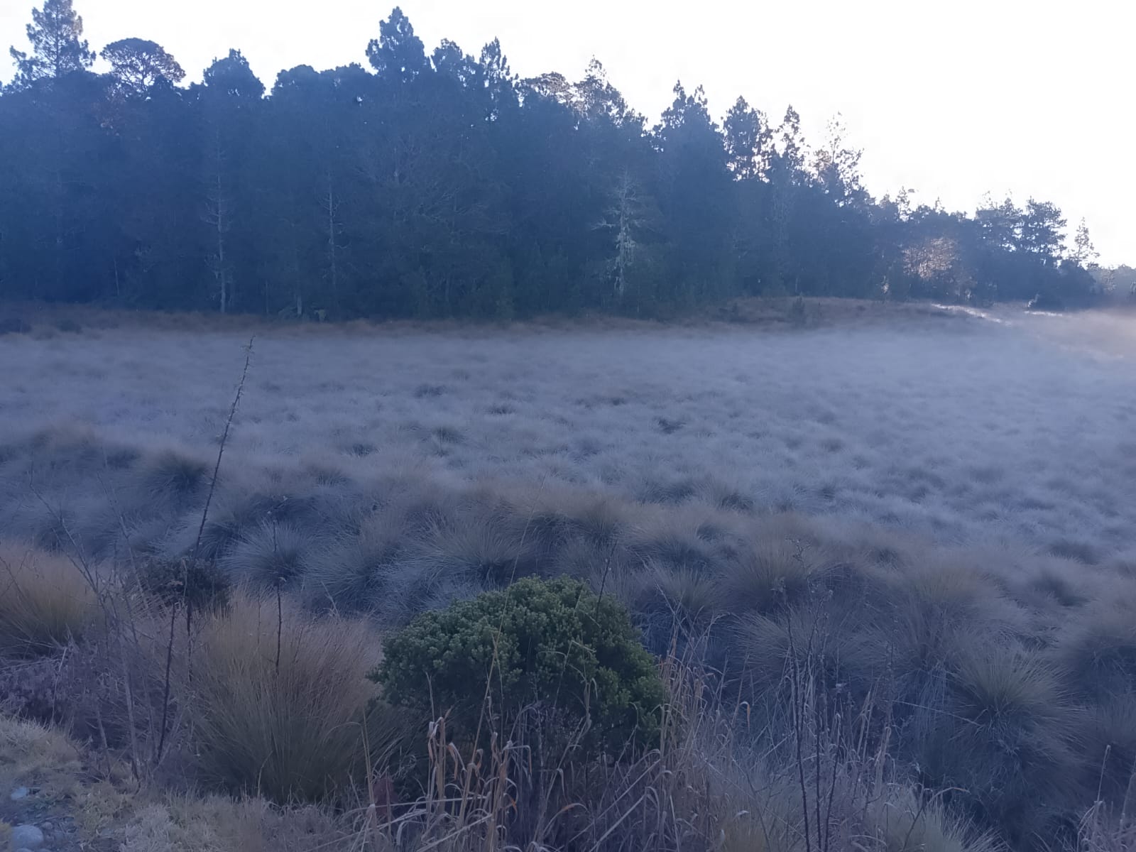 El invierno se niega