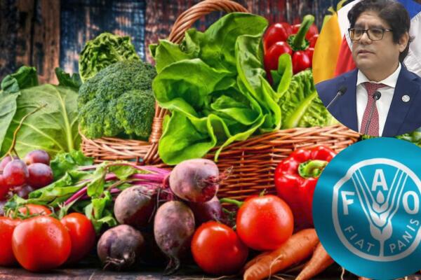Representante FAO advierte alzas de alimentos por crisis petrolera 
