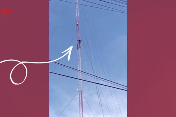Haitiano escala antena en Guayubín para evadir Migración.
