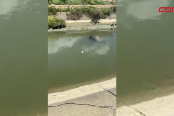 Cuerpo en avanzado estado hallado en Esperanza, Valverde.
