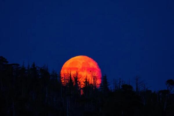 La NASA destaca que el fenómeno ocurre durante la fase de luna llena y que esta será la única Luna de Sangre total de 2026 / Foto: externa