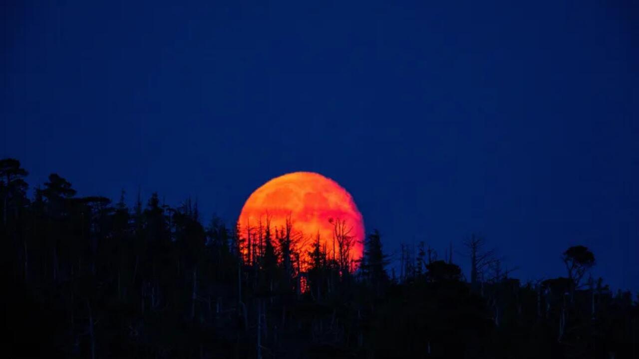 luna de sangre