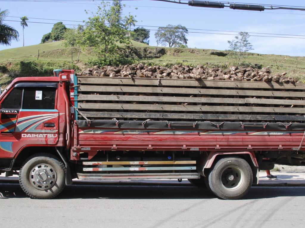 Ministerio de Agricultura entrega material de siembra para productores afectados con lluvias y derrumbes