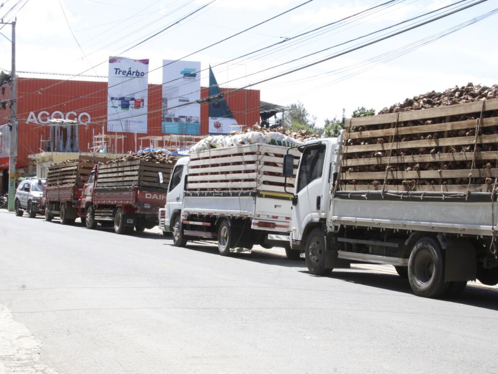 Ministerio de Agricultura entrega material de siembra para productores afectados con lluvias y derrumbes