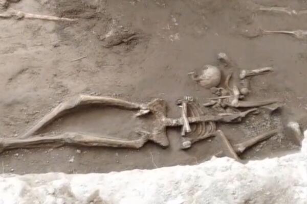 Un total de 35 osamentas encontradas durante los trabajos se analizarán científicamente en el extranjero para determinar si entre ellas se encuentran los restos del histórico personaje.