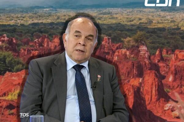 Pelegrín Castillo plantea revisar contratos mineros ante hallazgo de tierras raras en RD