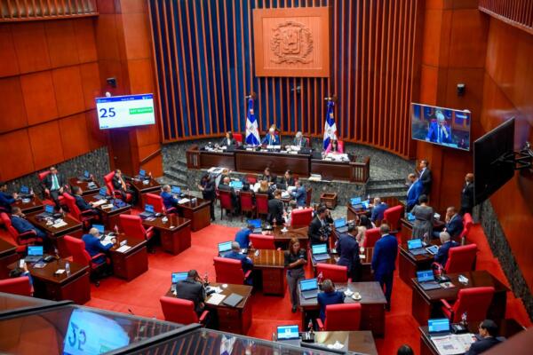 El Pleno del Senado también sancionó en primera lectura el proyecto de ley que dispone la implementación de detectores de metales en instituciones públicas y privadas de la República Dominicana.