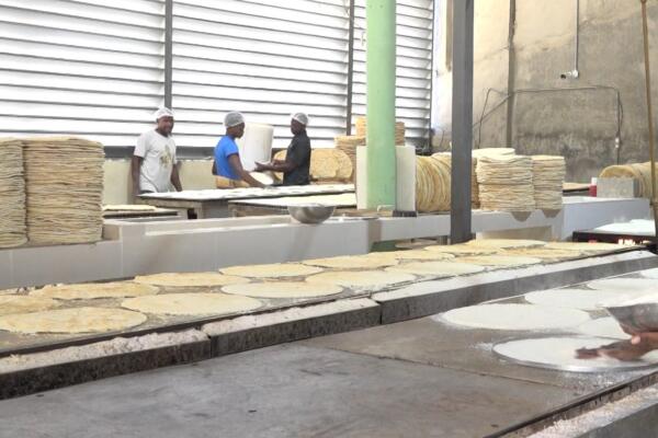 El casabe dominicano: de herencia taína a producto de exportación mundial