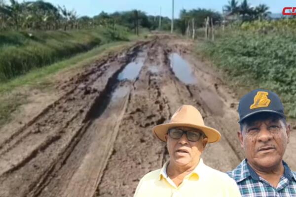 Productores denuncian abandono y riesgo de pérdidas agrícolas.
