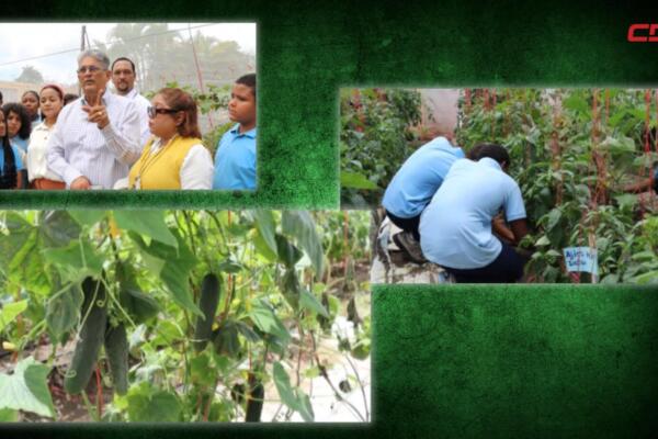 Estudiantes del centro educativo Sergio Hernández muestran los productos cultivados en su huerto escolar en Tamboril.